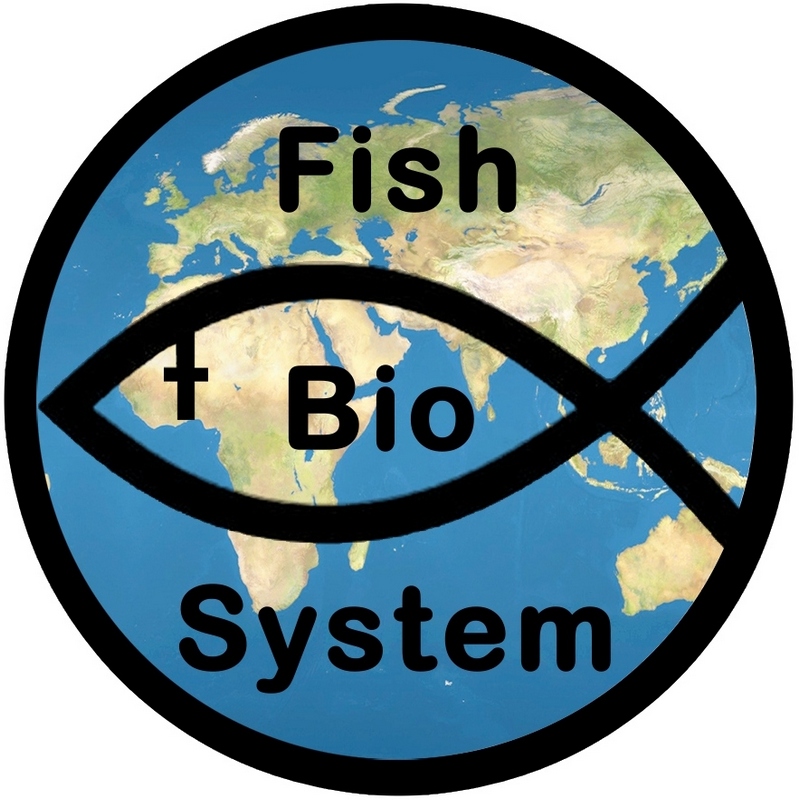 YouTube   fishbiosystem